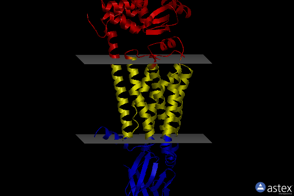 Membrane view of 7xka