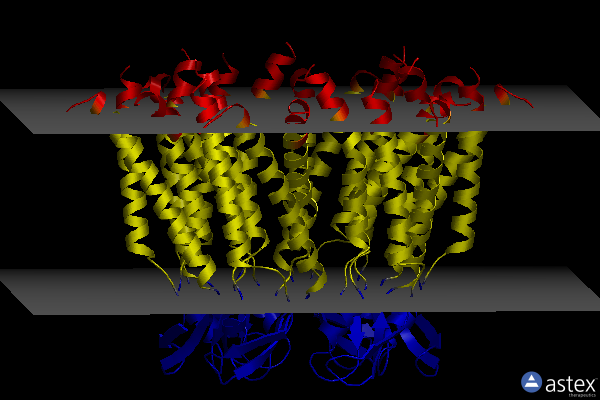 Membrane view of 7xkk