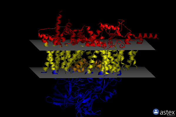 Membrane view of 7xm9