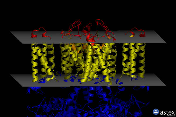 Membrane view of 7xni