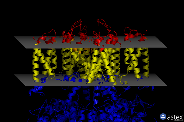 Membrane view of 7xnk