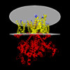 7xnn