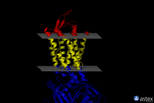 Membrane view of 7xou