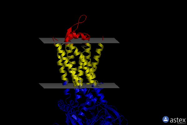 Membrane view of 7xov