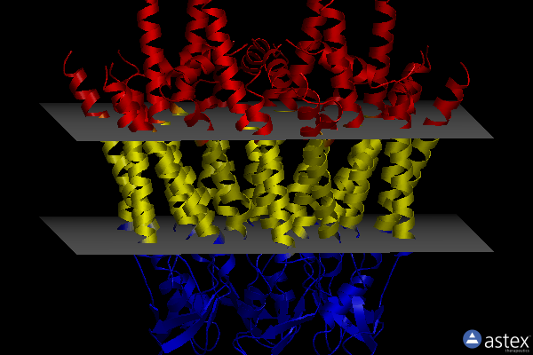 Membrane view of 7xqd