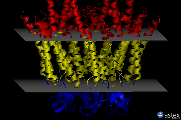 Membrane view of 7xqf