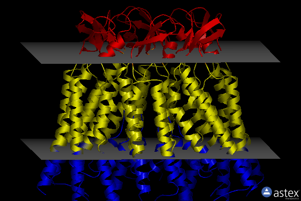 Membrane view of 7xqj