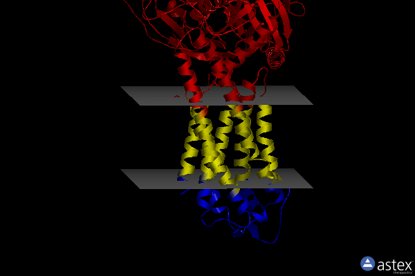 Membrane view of 7xtq