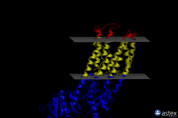 Membrane view of 7xuo