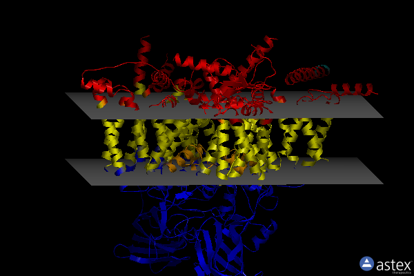Membrane view of 7xve