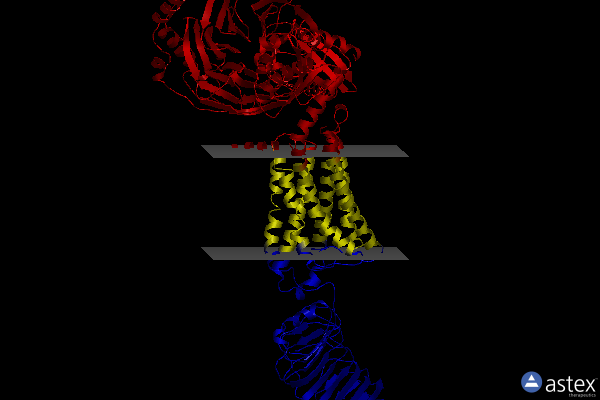 7xw6