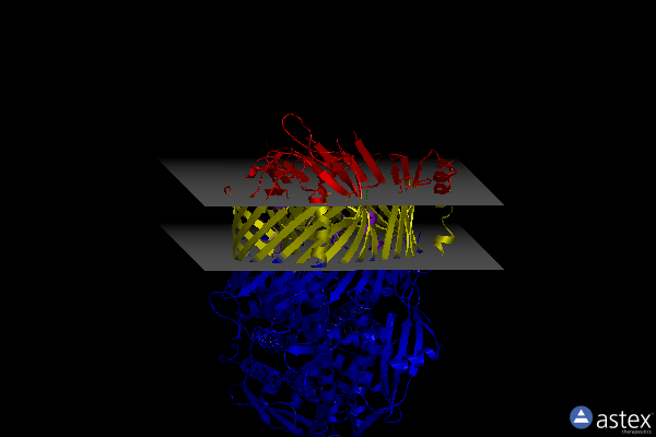 Membrane view of 7xzj