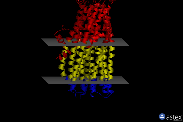 Membrane view of 7y1k