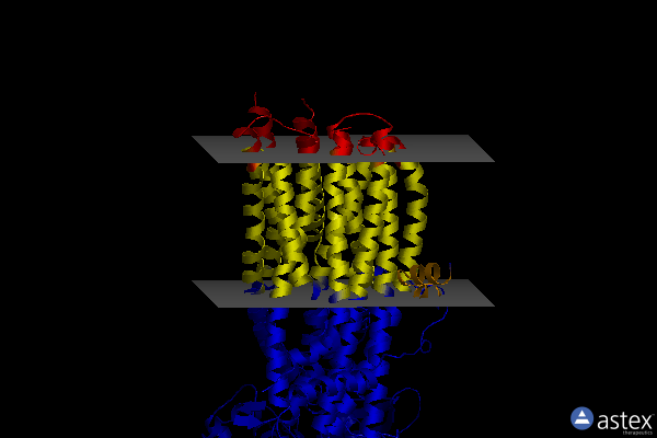 Membrane view of 7y1m
