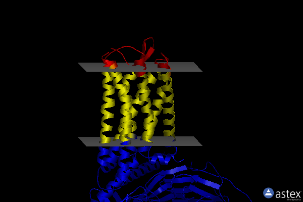 Membrane view of 7y24