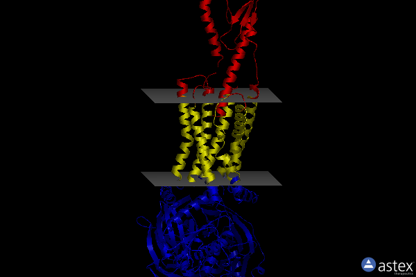 Membrane view of 7y36