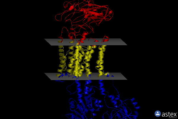 Membrane view of 7y46