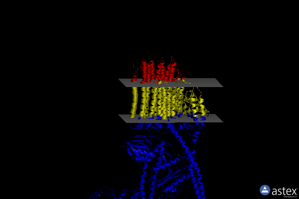 Membrane view of 7y5c