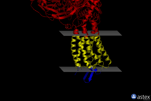 Membrane view of 7y65