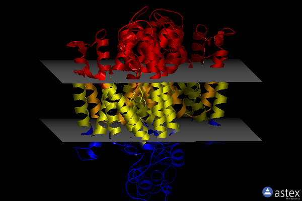 Membrane view of 7y6i