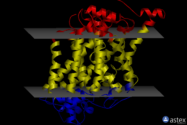 Membrane view of 7y7w