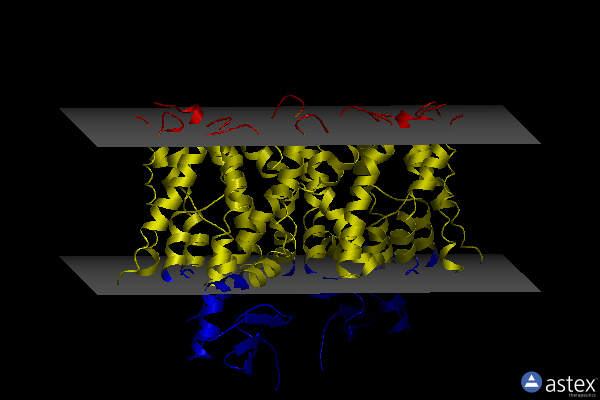 Membrane view of 7y9u