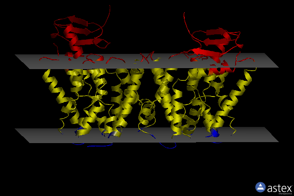 Membrane view of 7y9v