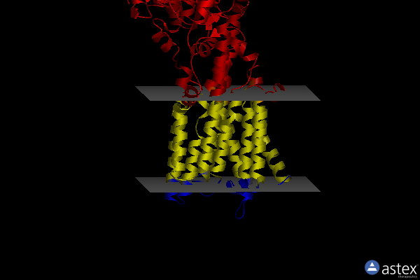 Membrane view of 7yag
