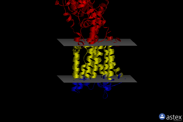 Membrane view of 7yai