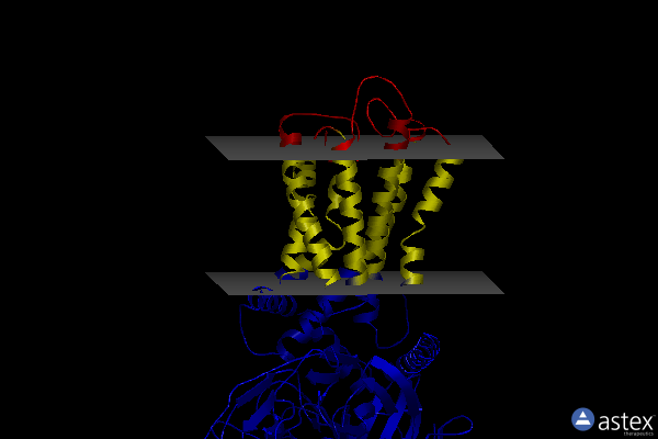 Membrane view of 7ydm