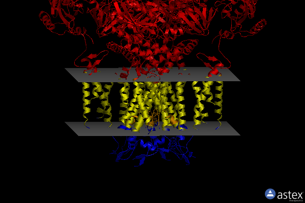 Membrane view of 7yie