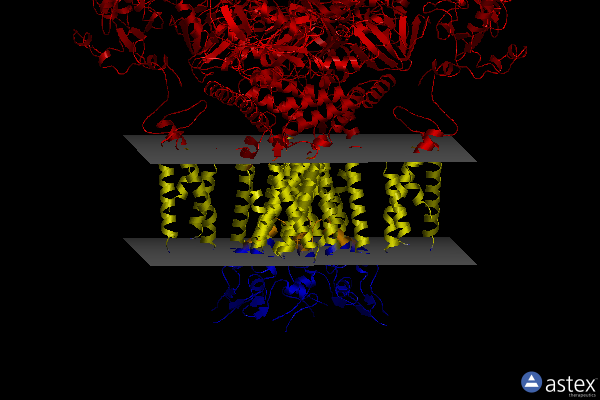Membrane view of 7yif