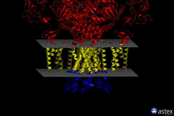 Membrane view of 7yih