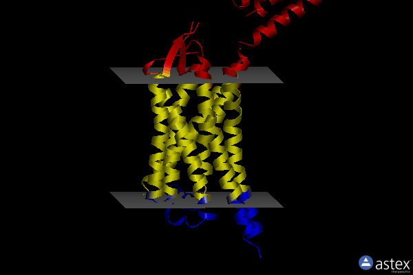 Membrane view of 7yit