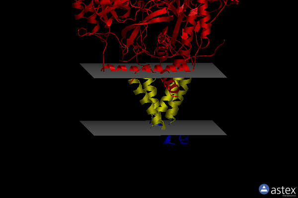 Membrane view of 7yj1