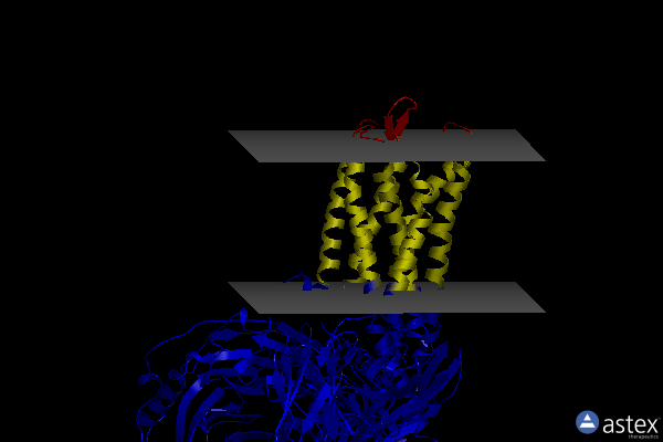 Membrane view of 7yk7