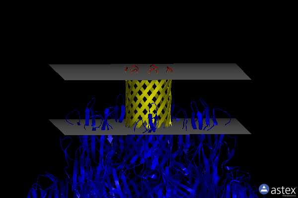Membrane view of 7yl9