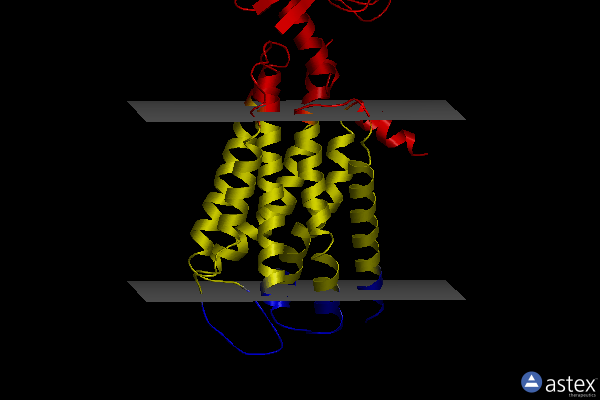 Membrane view of 7ymh