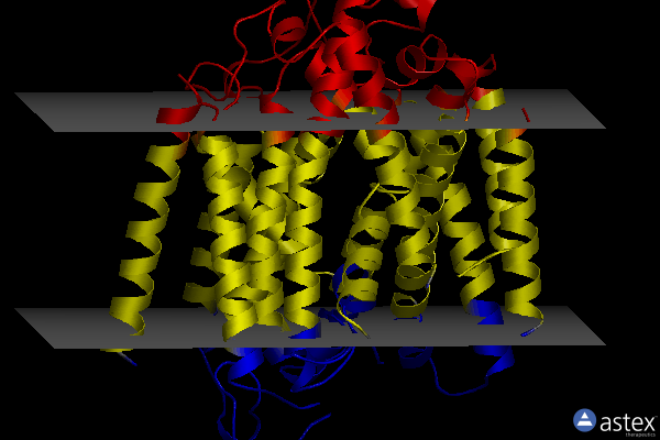 Membrane view of 7ynj