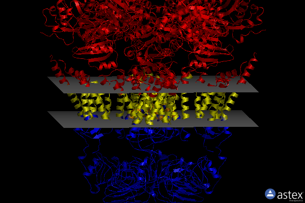 Membrane view of 7ynz