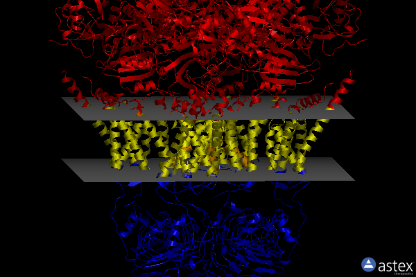 Membrane view of 7yo0