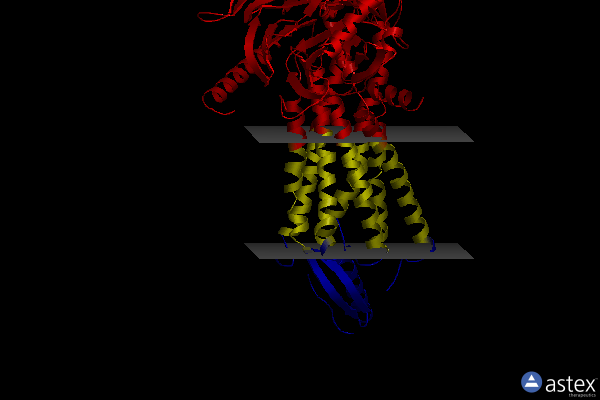 Membrane view of 7yoo