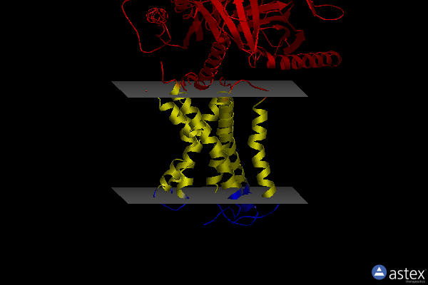 Membrane view of 7yp7