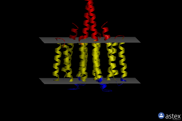 Membrane view of 7yzi