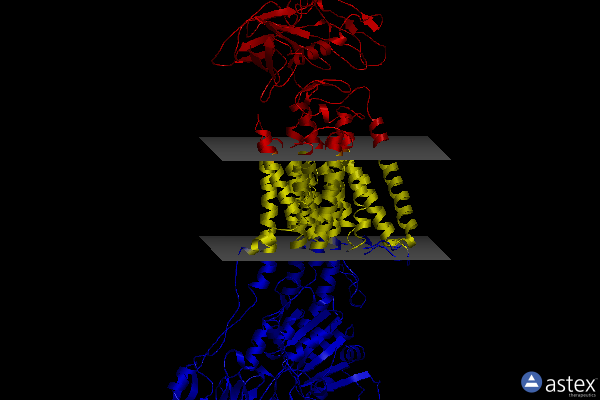 Membrane view of 7yzr