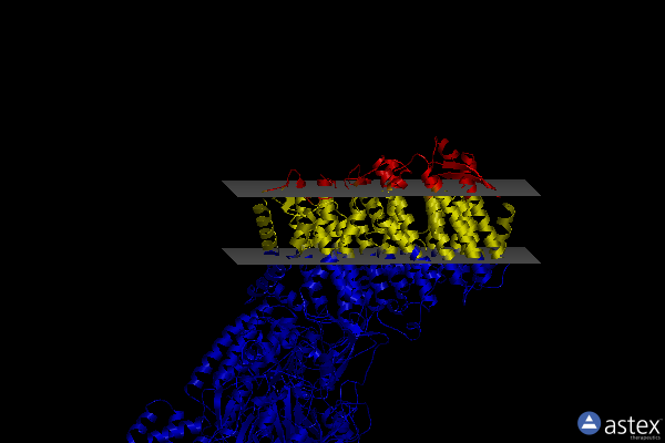 Membrane view of 7z0t