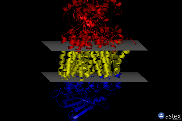 Membrane view of 7z10