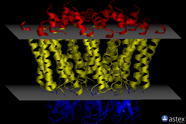 Membrane view of 7z23