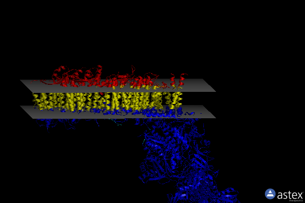 Membrane view of 7z83