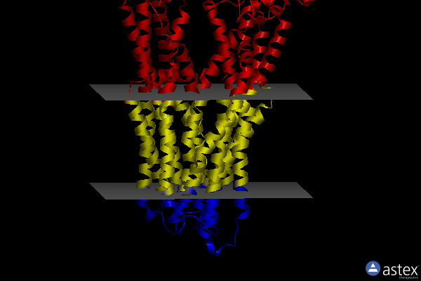 Membrane view of 7zd5